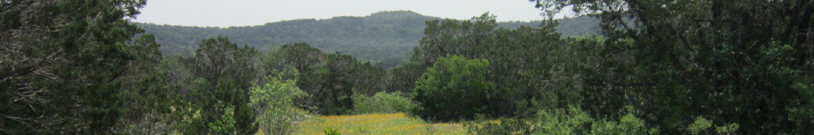 Rock-N-Cedar Ranch Header Image
