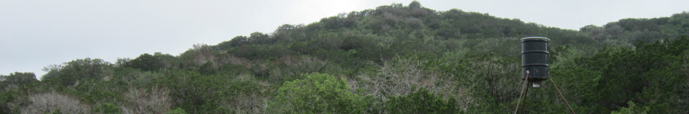 Rock-N-Cedar Ranch Header Image