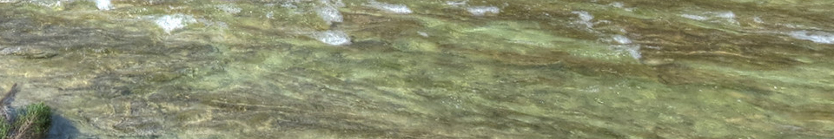 Rock-N-Cedar Ranch Header Image