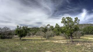 rockn_cedar_3576