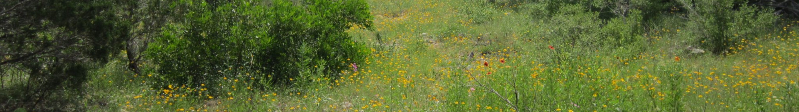 Rock-N-Cedar Ranch