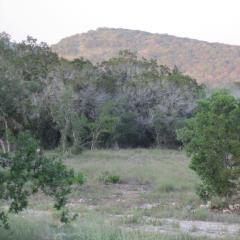rockin_cedar_ranch_1442