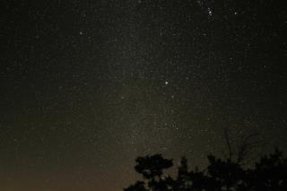 rockin_cedar_ranch_4970